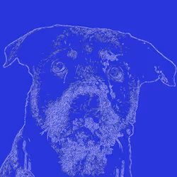 20263366600750275083551787550457323161745504762773807667868667843705621709800