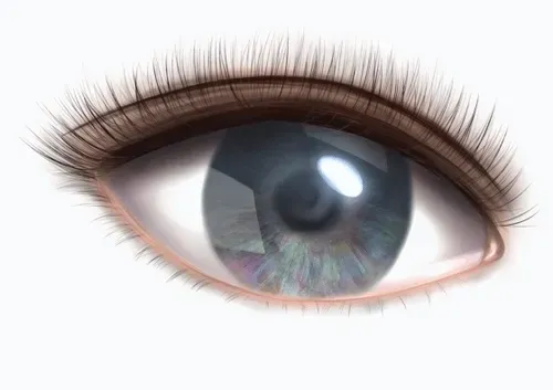 Item #42950694591796666568266939449637019646211598636303907727097118092493802438657 Media