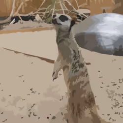 Hakuna