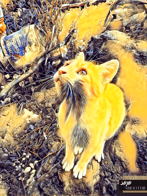 Item #70173555060280459679020221103172679865592931086946583501557978891996641624065 Media