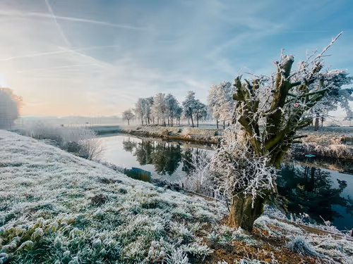 Item #1221306337100687933341799586999295926059352826216580485186700617135419293697 Media