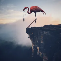 flamingo swing nft