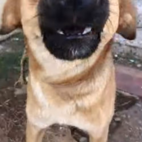 Untitled Collection #168129144