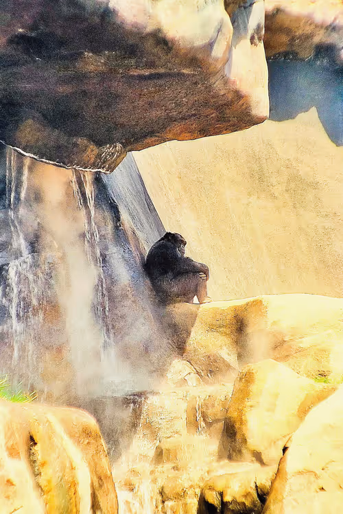 Item #105394010161551018097936078642910549059002323015222353178191529584093573414913 Media