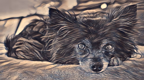 Item #54593652383459731767777383320415424164820202733853921615926635487038428676097 Media