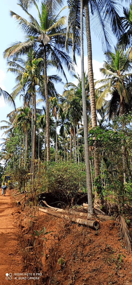 Item #28492546344238997982627040595659913257173957231691920694804582465091688988673 Media