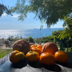 Harvest ready to eat