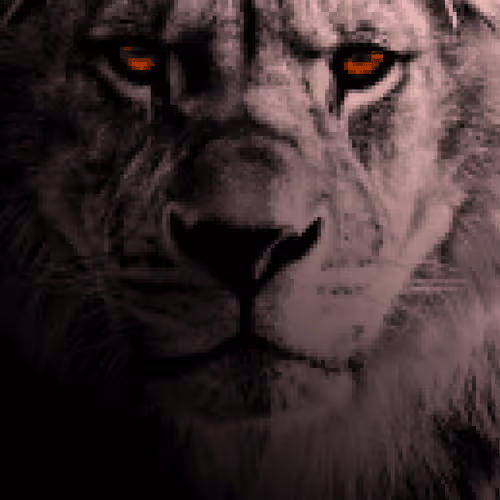 Item #50459515703041392819542908586521529381772501982036057728161511842409548349441 Media