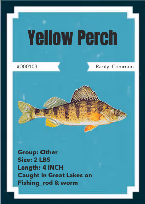 Item #43502264269384842523243150070095810631836830099831581701628992043920408969217 Media