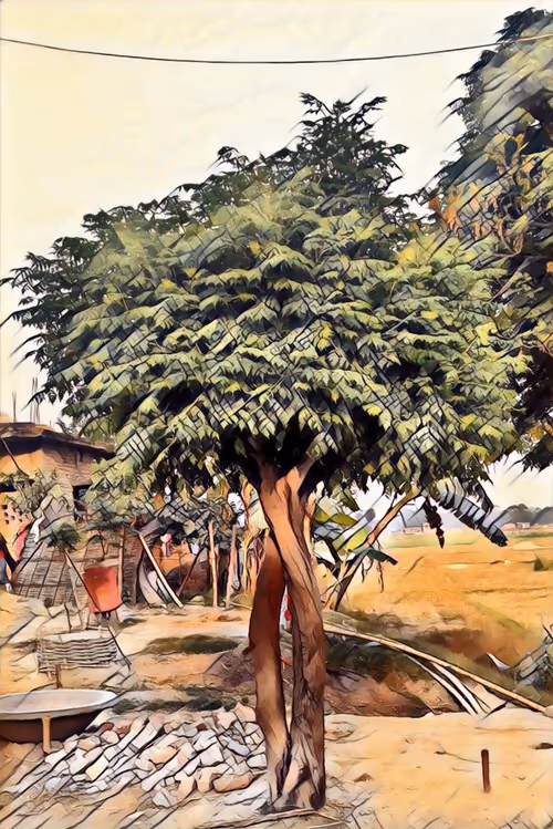 Item #53344357632477815300370085821507821745666874647266618234079417751155295387649 Media