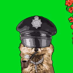 13313825994980351745506845005889443412334519340224243119891181745561615204353