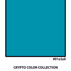 #01a3a8