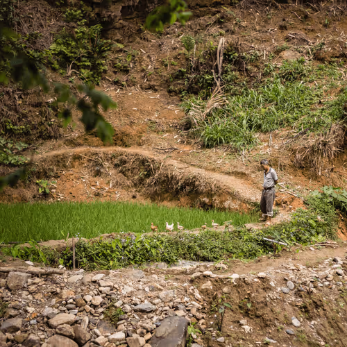 Item #80488266671287018131558448213082272878703229800970441297784273660973814906881 Media