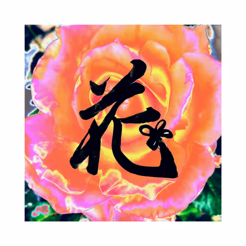 Item #69963289625873780075159906247721227463381325575472447281375270680267094753281 Media