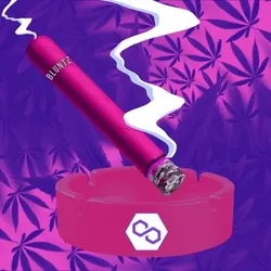 28129698307208832899864603379983005648508892752257228648004563049843915751425