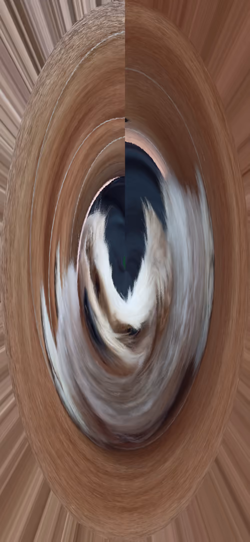 Item #107643760086873134695454282191223111427569081045857005672190558267482679803905 Media
