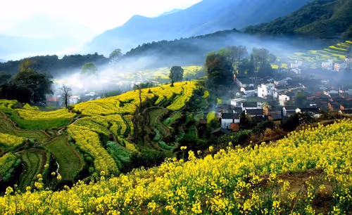 Item #9260538880738646448046418891529255088625136826813512017686583783020342280292 Media