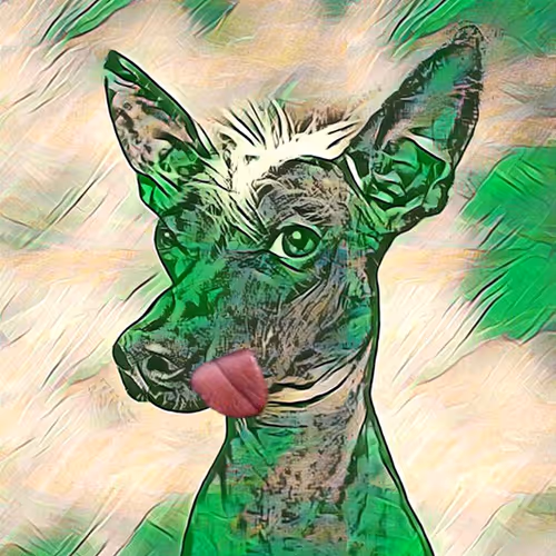 Item #98566320932109120955286723892540474174714252755270143490199448273434942898276 Media