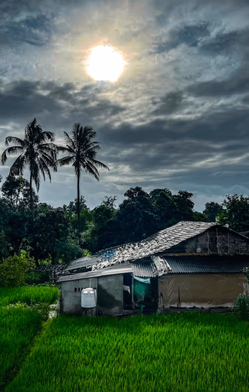 Item #109072311483986100923045414839955632357511686828920281992692333444520701067265 Media