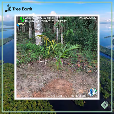 Item #8500196597889277390194123329501889087166328879864934763448349312998988316673 Media