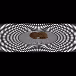 (9)