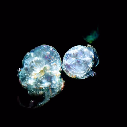 Item #4750064852715738149564930854294668621974194112560083604087540751235243048961 Media