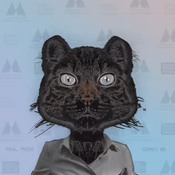 Celebrity Cat Modeling Agency #28