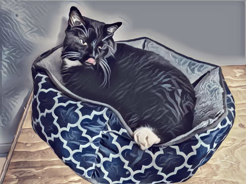 Item #47363753603702379708308966357623410528548816847410412850833506825703302103140 Media