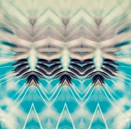 Item #22570909205623867214169094373644635855988833193791395542203887076499779485697 Media