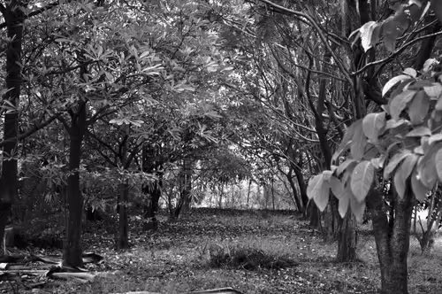 Item #109579018027133606473158902058456759875658318669045531735484408686747053981697 Media