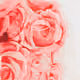 27629678869710155466229653793317716872591576233796344682117786563592178368513