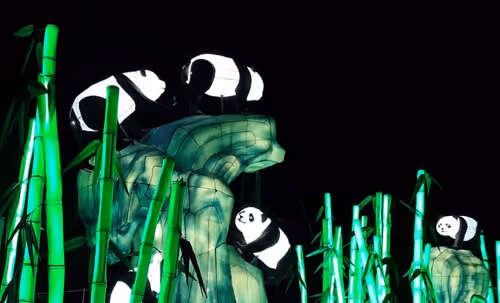 Item #94786805634526358715119392436618927677062396425607217314342067584469336850433 Media