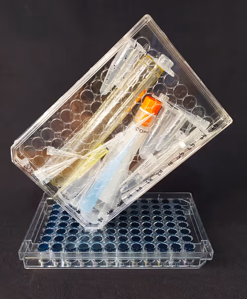 Item #108955583872739655741702358868652756405273862791069305959596897641233739939841 Media