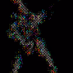 86848984169157759888227604032761535218798470747196737840179820240744916975617
