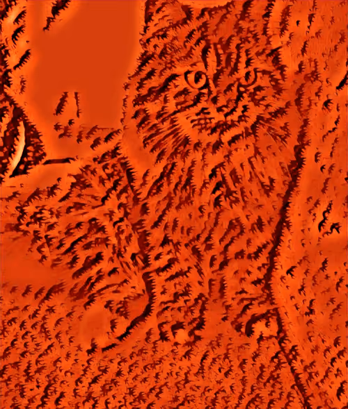 Item #29510731910910609866946623002702956419421614825625903317173568045063029653505 Media