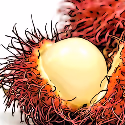 Rambutan