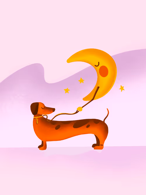 Item #45035591309479131957201043054600268307746859127332682412470767366520365383681 Media