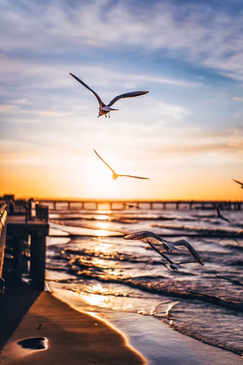 Item #35409078409667596971278228367695759788445142821081829604710600541712563568641 Media