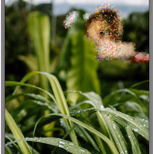 Item #44841669653503183183451948352729976287069847475674991683319661654699883364354 Media