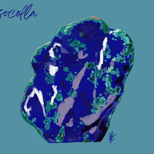 Item #85141354714833614509806319782789039138473253974235521479469238702237737287681 Media