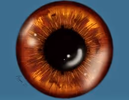 Item #86888049055569980727455928388236990462849056993635331630843994471163251130369 Media