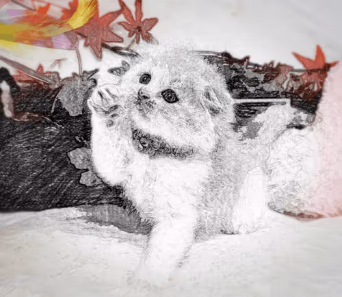 91759468681585112787251835615333842884818630841229163696344986647379868385290