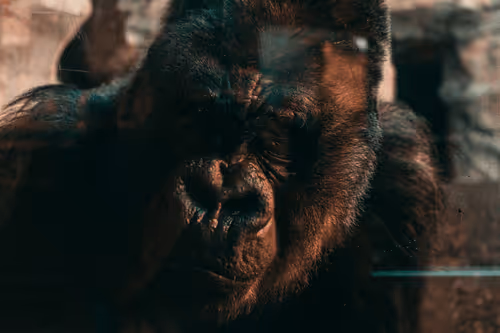 Untitled Collection #76344704