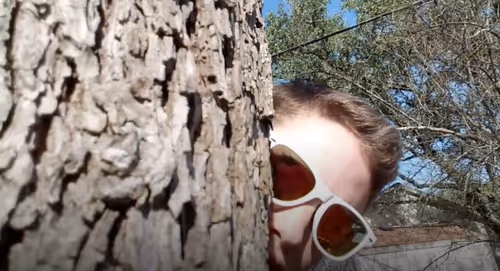 Item #97875792600751522169525525373453543425442336165111952440120249732489778561034 Media