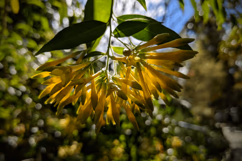 Item #39075669952795110311488058078452160275975432518977374571902800583830414557185 Media