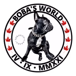 Boba's World Logo