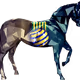 14195703436646468745199728662041842185351146069971577628603613864537970704385