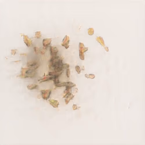 Item #94594472800492689210511791646247881716921421318605375343824232269199873933313 Media