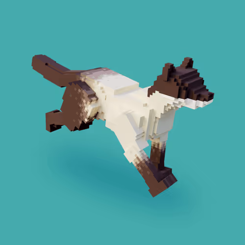 Item #39688914056937260457693893642983191716937728578619644830708153446377260580865 Media