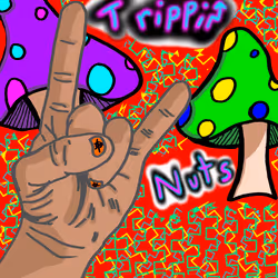 28200432311951513172375367357605204016895167830193812084039580244297966944257